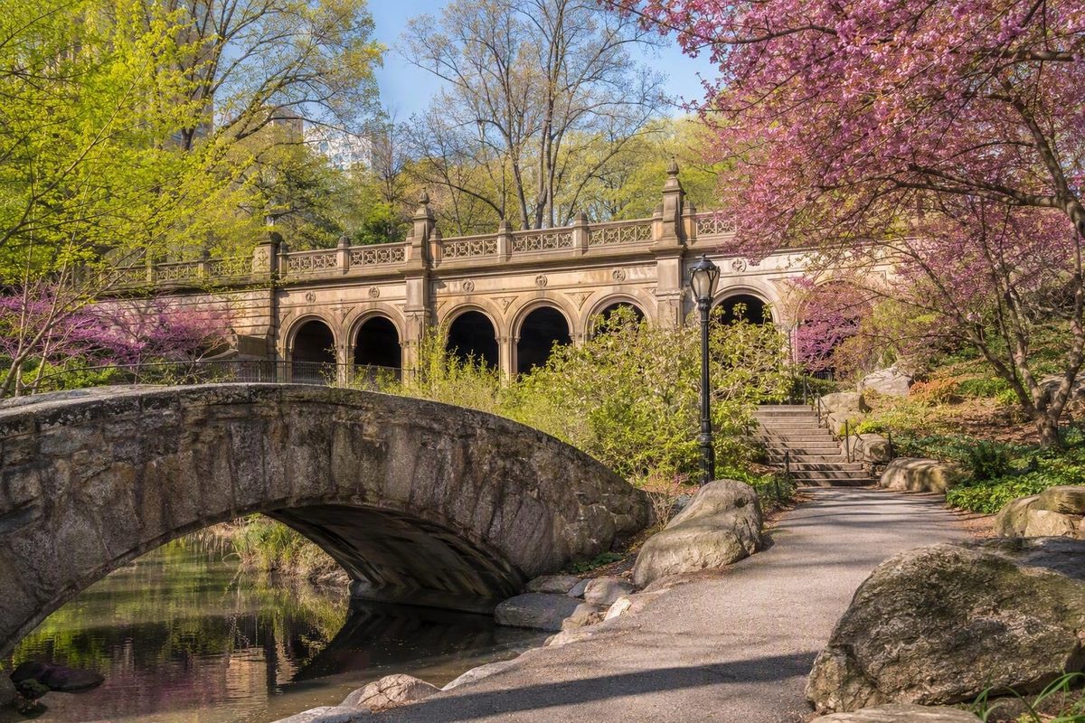 See Central Park Through Its Bridges and Arches